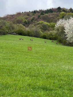 Rekreačný pozemok vo vyhľadávanej obci Zbora- 2.399m2 - 6