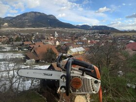 Rizikovy vyrub,ve pilenie stromov,arboristika,výrub stromov, - 6