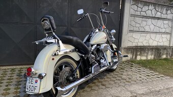 Harley Davidson Softail 110” - 6