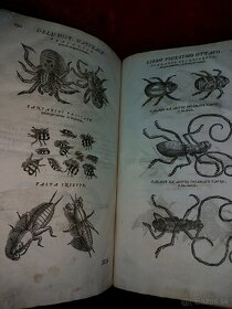 Stara velka kniha Encyklopedia živočíšnej ríše z r. 1672 - 6