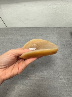 Kombucha/ Čajová Huba/ Scoby - 6