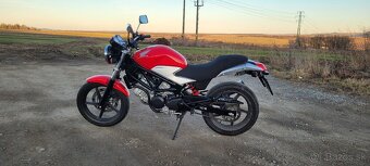 Honda VTR 250, malý Monster - 6