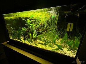 Akvarium 54l - 6