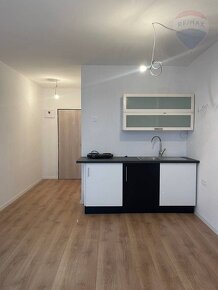 Prenajom bytu (Garsónka) 22m2, Bratislava-Ružinov - 6