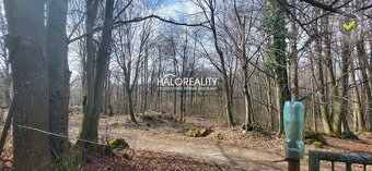 HALO reality - Predaj, rekreačný pozemok Kremnica, s možnosť - 6