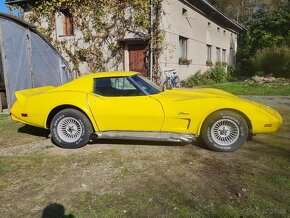 Chevrolet Corvette C3 1977 Stingray - 6