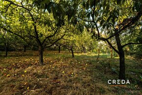 CREDA | predaj dvojgeneračný rodinný dom s veľkým pozemkom,  - 6