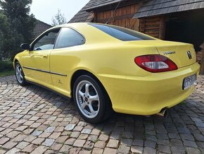 Peugeot 406 Coupé 3.0 V6 1999 - 6