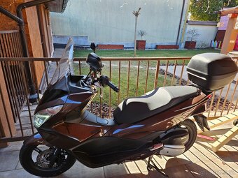 Honda pcx 125 - 6