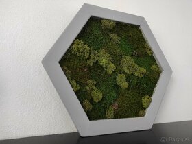 Predám obraz z machu: Hexagon šedý M (50 x 45 cm) - 6