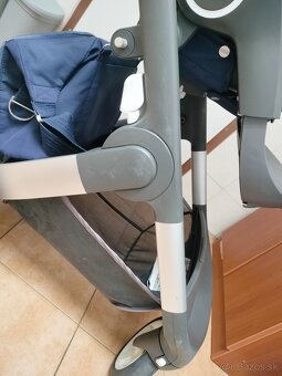 Stokke cruzi - 6