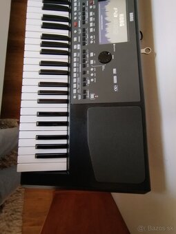 Korg pa 600 Len predaj - 6