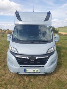 Opel Movano, 2023, Auto na  koně 5ti místné - 6