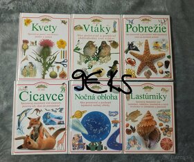 Adventny kalendar, stoplik, zvedavymi ocami, narnia, zosidlo - 6