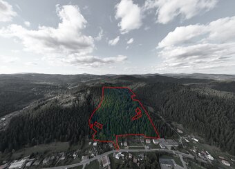 Korňa – 20.800 m2 LES s prístupom z obce - Na predaj - 6