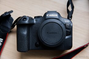 Canon EOS R6 Mark II - 6