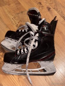 Bauer Vapor LTX pro, 39ky - 6