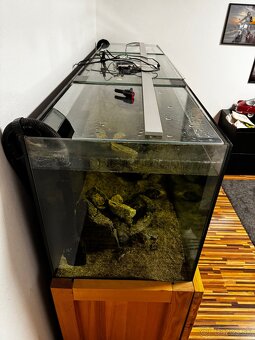 Akvarium 200x50x60 - 6