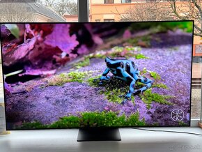 Samsung QE65QN91B Smart Ultra HD 100Hz 164cm - 6