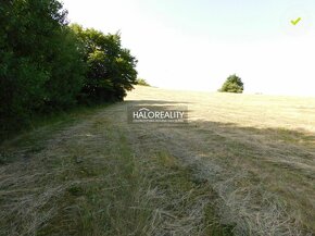 HALO reality - Predaj, pozemok pre rodinný dom   4887m2 Bans - 6