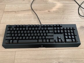 Razer Blackwidow X chroma - 6