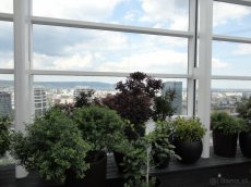 Predám exkluzívny penthouse na 33 p. Panorama City - 6