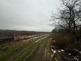 Ponúkame Vám na predaj pozemok - záhradu v Haniskej. - 6