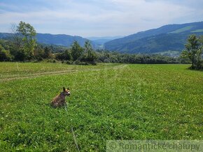 Väčší rekreačný pozemok s nádhernými výhľadmi nad obcou Zu - 6