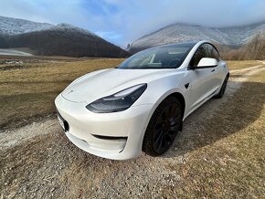 Tesla model 3 performance 2021 - 6