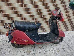 Honda Lead 50cm3 - 6