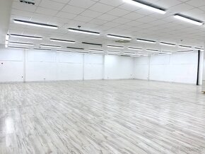 Viacúčelové priestory, pešia zóna od 690 - 1340 m2, Nitra - 6