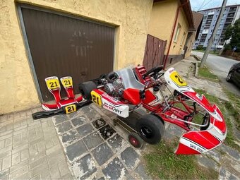 Motokára Birel Art  KZ2 - 6