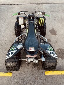 Yamaha Raptor 250 - 6