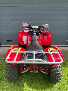 Yamaha Grizzly 700fi - 6