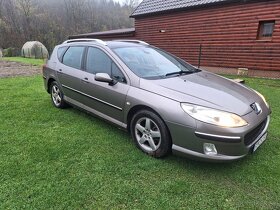 Peugeot 407 SW - 6