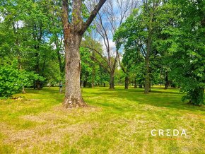 CREDA | predaj kaštieľsky park so stavebným povolením, Bojná - 6