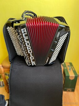 Accordiola - 6