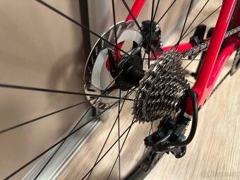 Spezialized Roubaix - 6