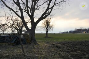 HALO reality - Predaj, rodinný dom Radošina, Bzince - 6