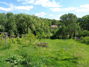 Ďurkovce - malý dom s veľkým pozemkom - 6