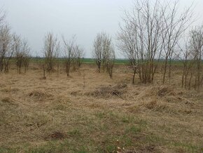 Rekreačný pozemok za Potočnou ul. v Báhoni, 30km od Bratisla - 6