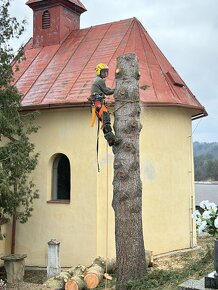 Rizikový výrub a orez stromov - 6