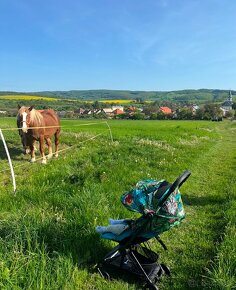 Cybex Coya DJ Khaled / požičanie kočíka na dovolenku - 6