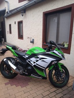 Kawasaki Ninja 300 30th anniversary edition  - 6