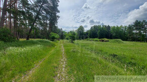 Lesný pozemok 37 000 m2 - 3,7 ha v obci Borský Mikuláš, 60 - 6