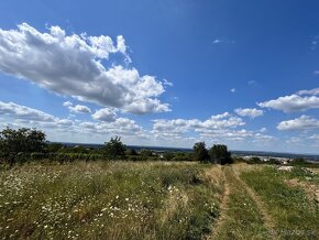 Predaj pozemku 2573 m2 na výstavbu vinohrad. domu, SKALICA - 6