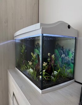 Tetra akvárium 60L s príslušenstvom - 6