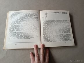 Sempè-Goscinny: Mikulášové šibalstvá - 6