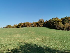 Pozemok v pokojnom prostredí 1401m2 - Veľké Hoste na predaj - 6