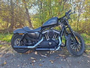 Harley davidson iron 883 - 6